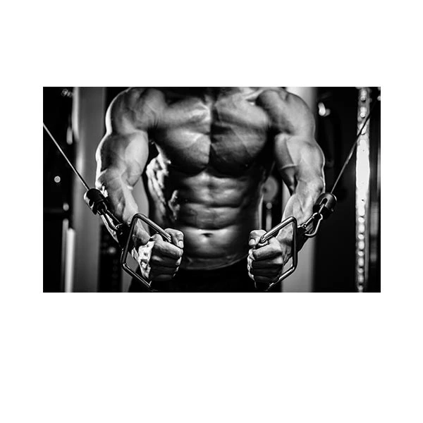   پادری مدل نوجوان کد HSHMT0062 سایز 76x46 سانتی متر