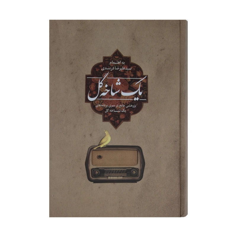 کتاب یک شاخه گل اثر سید علیرضا دربندی نشر پیکان