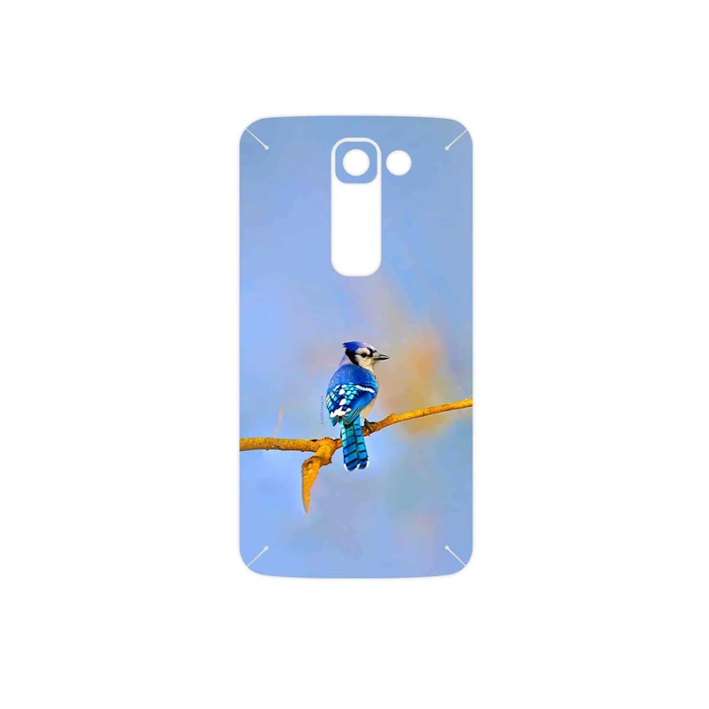 برچسب پوششی ماهوت مدل Cyanocitta cristata مناسب برای گوشی موبایل ال جی G2 mini