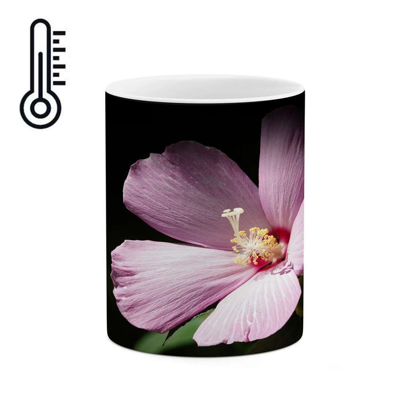 ماگ حرارتی کاکتی مدل گل کد mgh16681