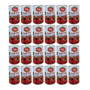 رب گوجه فرنگی بهشاد - 400 گرم بسته 24 عددی