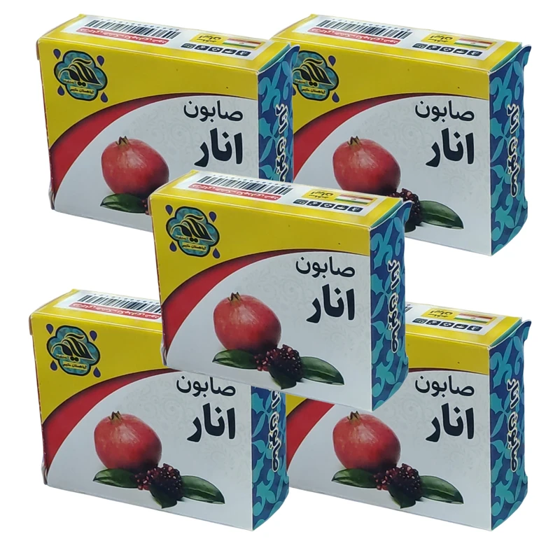 صابون شستشو گیاهستان حکیم مدل انار وزن 70 گرم بسته 5 عددی
