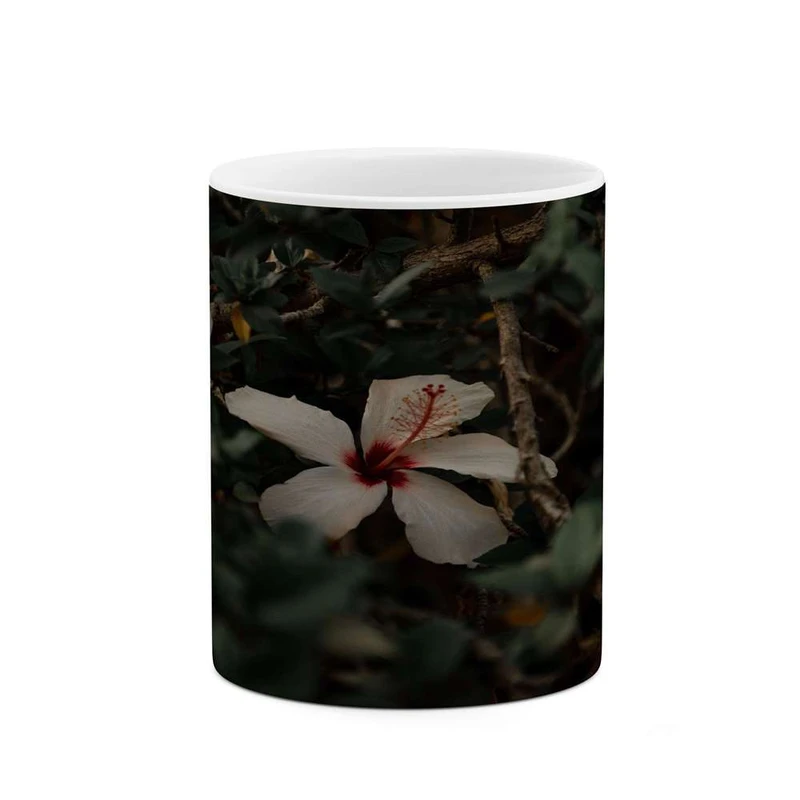 ماگ کاکتی مدل گل کد mgh14224