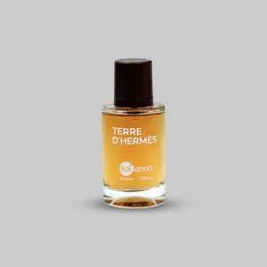 TERRE D HERMES