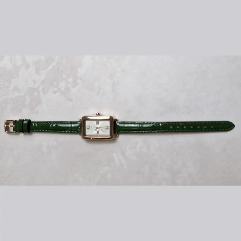 ساعت مچی عقربه ای زنانه اسکمی مدل 2171RGGN