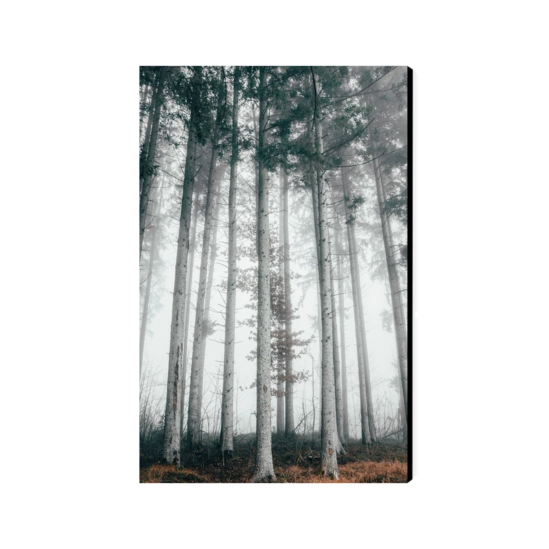 تابلو شاسی عرش مدل فانتزی منظره طبیعت جنگل کد As4201