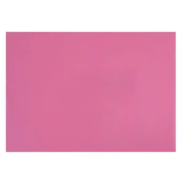 طلق پاپکو مدل A4-2 بسته 10 عددی