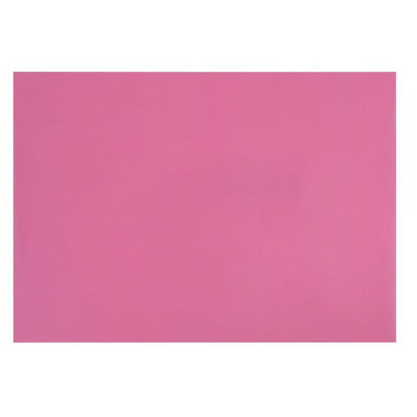 طلق پاپکو مدل A4-2 بسته 10 عددی