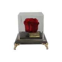 گل رز جاودان مدل پایه فرشته