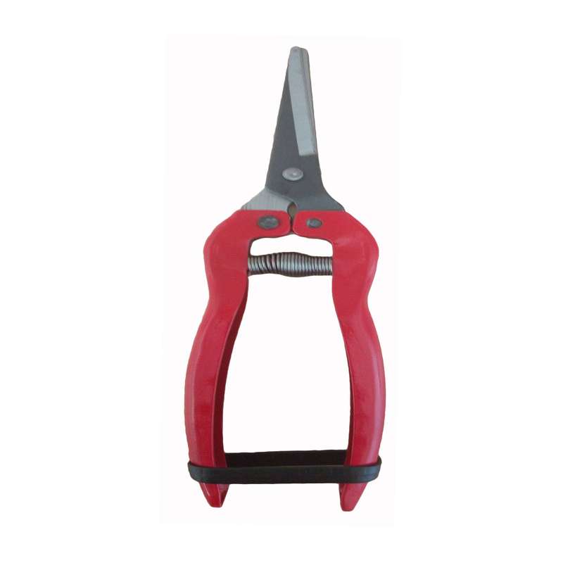 قیچی میوه چینی مدل P12