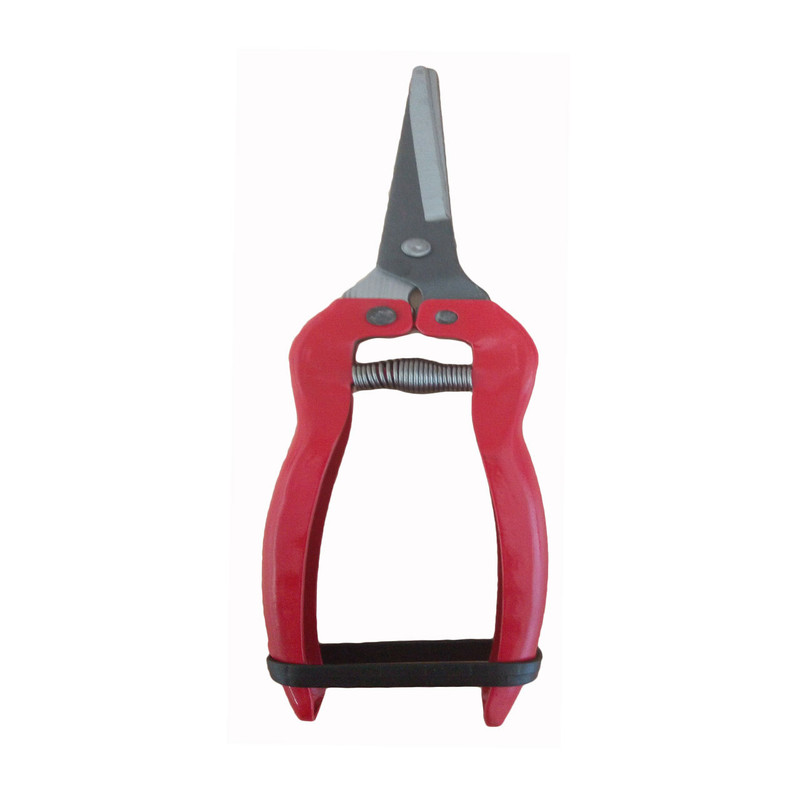 قیچی میوه چینی مدل P12