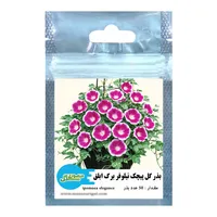 بذر گل پیچک نیلوفر برگ ابلق کمیاب منصوری گل کد Mie50 وزن 1 گرم