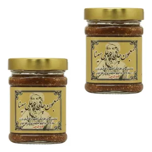 معجون چاقی بوعلی‌ سینا - 500 گرم بسته دو عددی