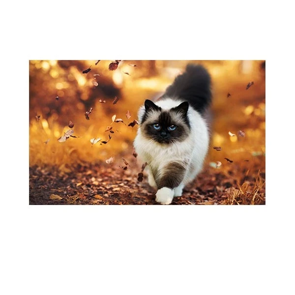   پادری مدل حیوانات کد HSHMA0031 سایز 76x46 سانتی متر