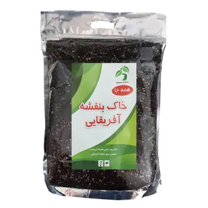 خاک بنفشه آفریقایی گرین فارم کد BNFS-2 حجم 4 لیتر
