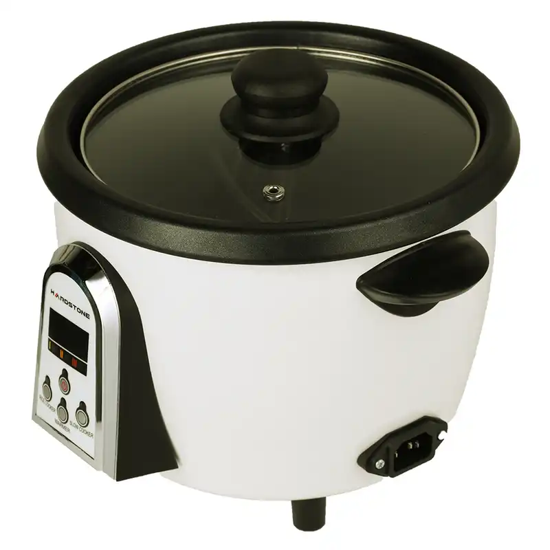 پلوپز هاردستون مدل RCM6310