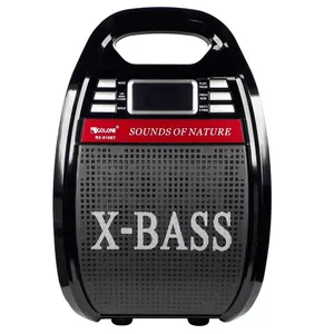 مجموعه کامل بلندگو و آمپلی فایر با میکروفون بی سیم و اکو  گولون مدل RX-810BT