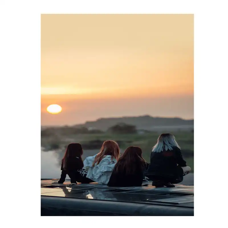 پوستر مدل بلک پینک p12