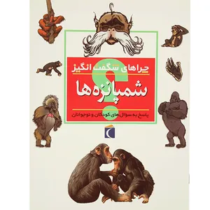 کتاب چراهای شگفت انگیز اثر کمیلا دو لا بدویر