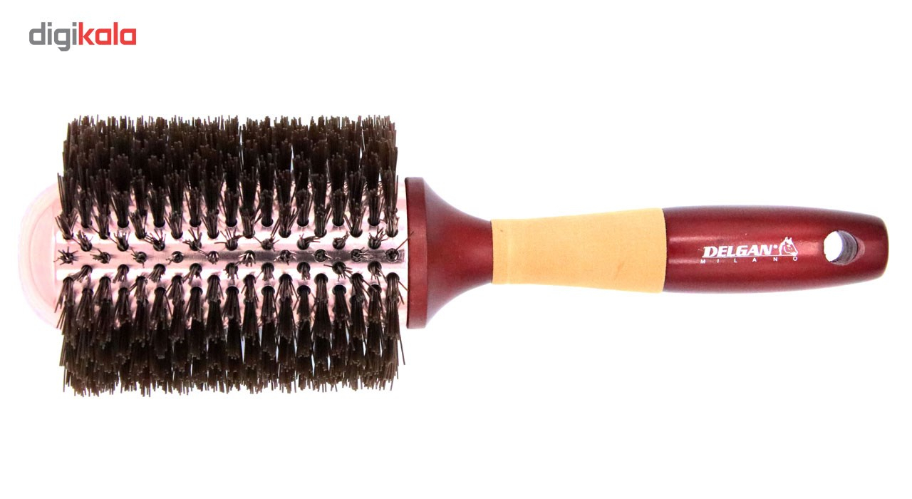 برس مو دلگان مدل W11-R0013-022-VW01