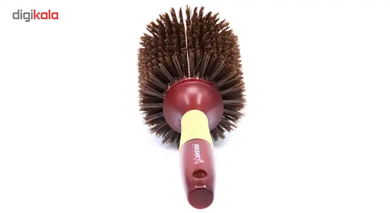 برس مو دلگان مدل W11-R0013-022-VW01