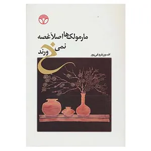 کتاب مارمولک ها اصلا غصه نمی خورند اثر افسون فروغی پور