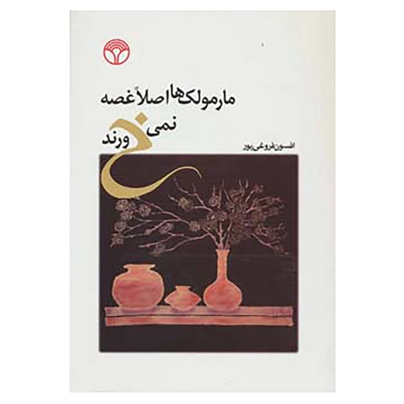 کتاب مارمولک ها اصلا غصه نمی خورند اثر افسون فروغی پور