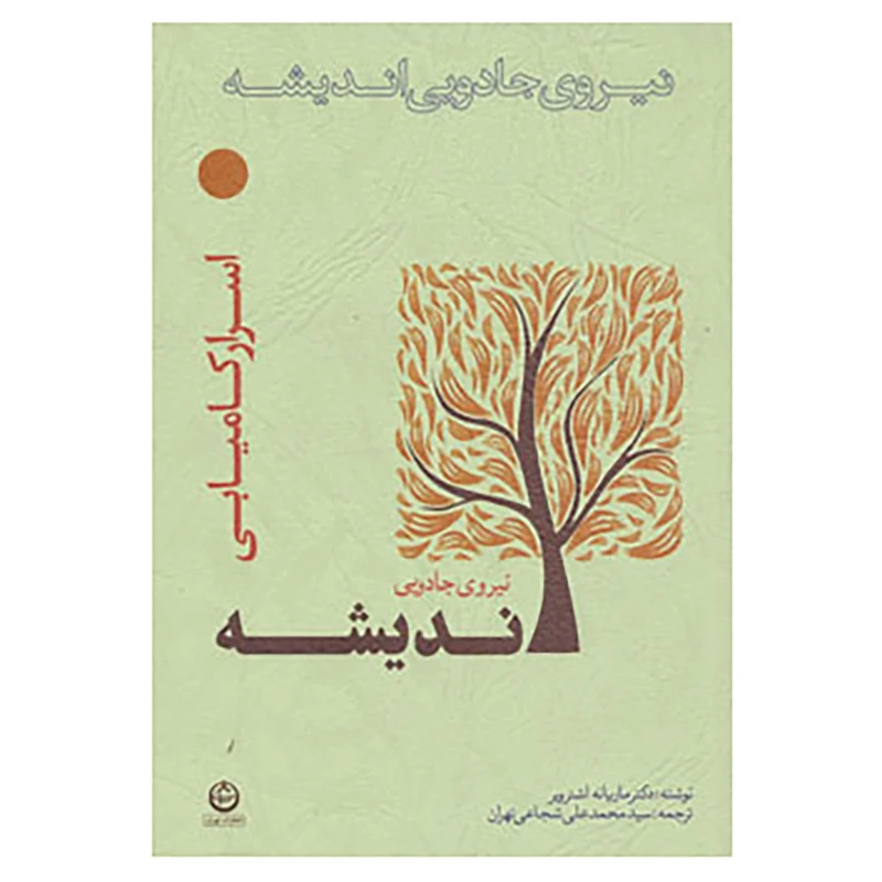 کتاب نیروی جادویی اندیشه اثر ماریانه اشترویر