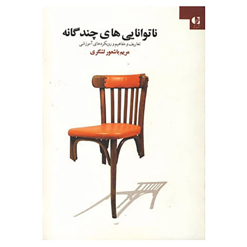 کتاب ناتوانایی های چندگانه اثر مریم باشعورلشگری