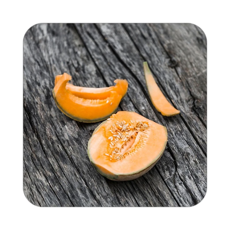 زیر لیوانی کاکتی طرح میوه مدل mp21101