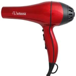 Verbena VR-9905 Hair Dryer