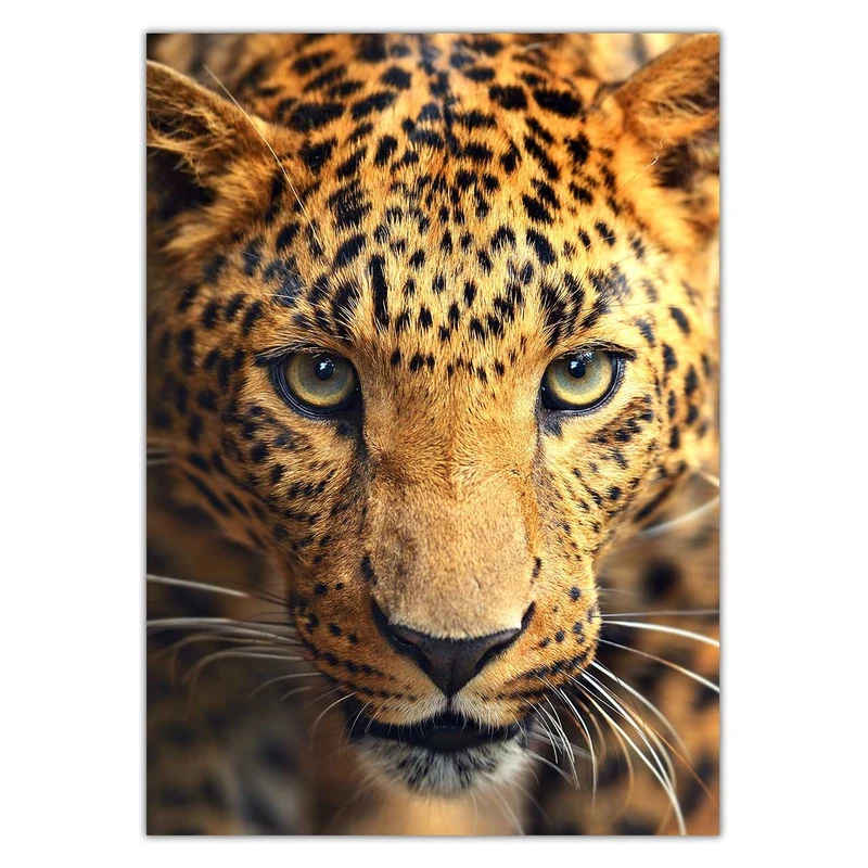 تابلوی ونسونی طرح Leopard Focus سایز 50x70
