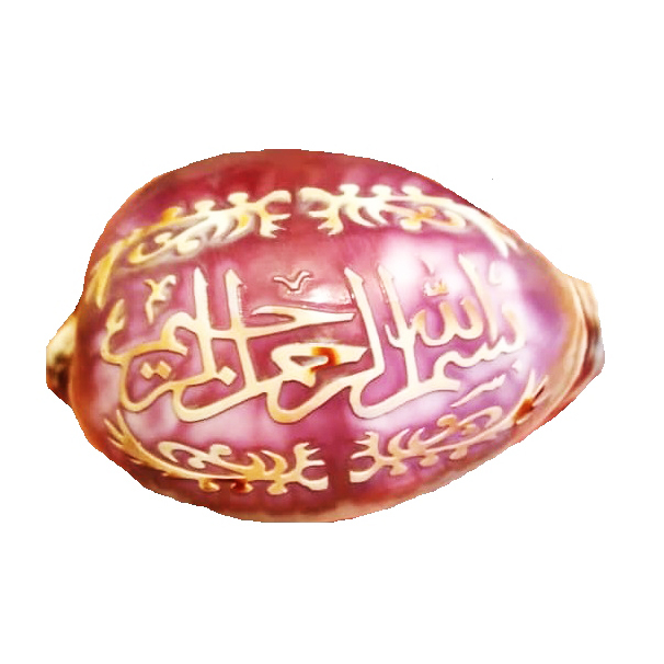 صدف تزئینی مدل HS102