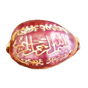 صدف تزئینی مدل HS102