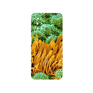 MAHOOT Atom Universe 6 Cover Sticker for Xiaomi Redmi 10