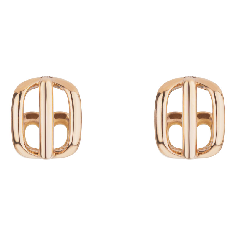 گوشواره طلا 18 عیار زنانه رای بین مدل E-01