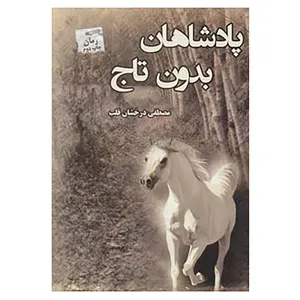 کتاب پادشاهان بدون تاج اثر مصطفی درخشان قلب