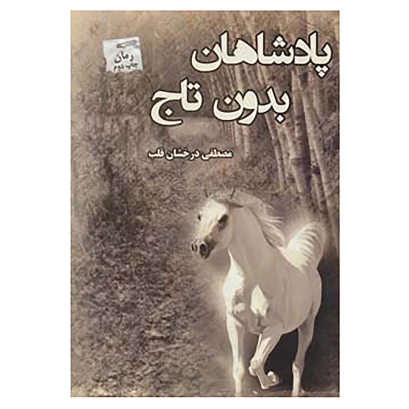 کتاب پادشاهان بدون تاج اثر مصطفی درخشان قلب