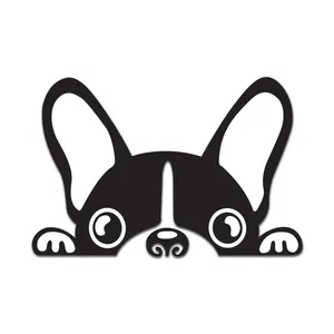 DecoGraph Funny 101 Car Sticker