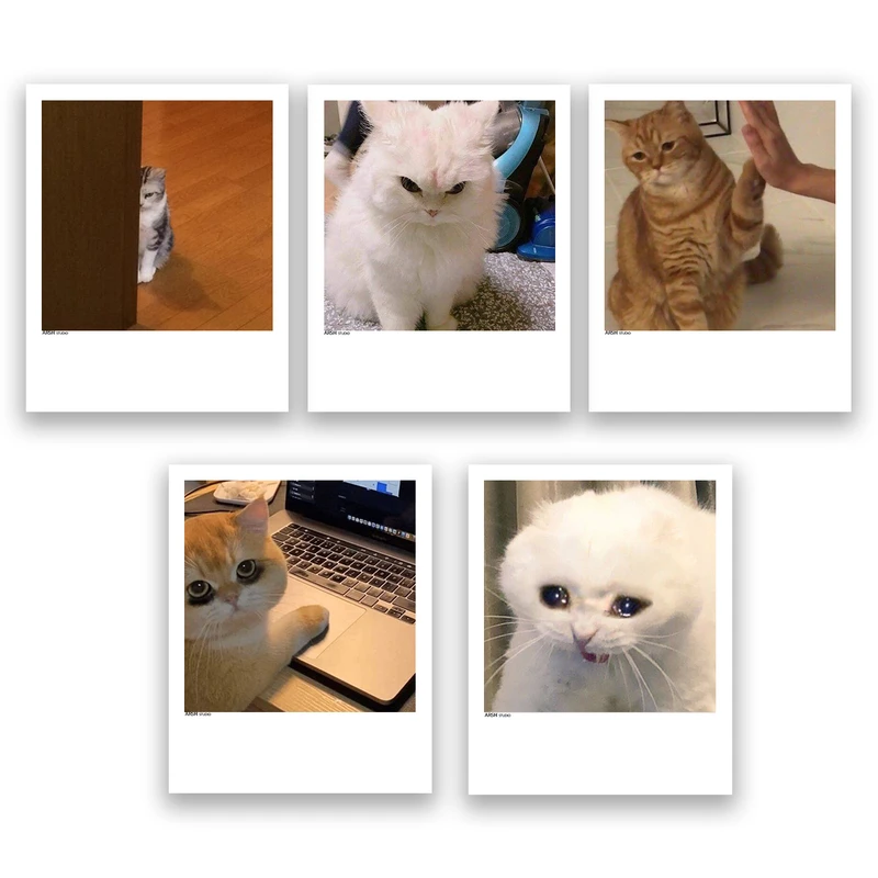 آویز تزیینی عرش مدل فانتزی گربه بامزه کد Asa348 مجموعه پنچ عددی