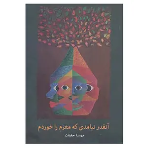 کتاب آنقدر نیامدی که مغزم را خوردم اثر مهسا حقیقت