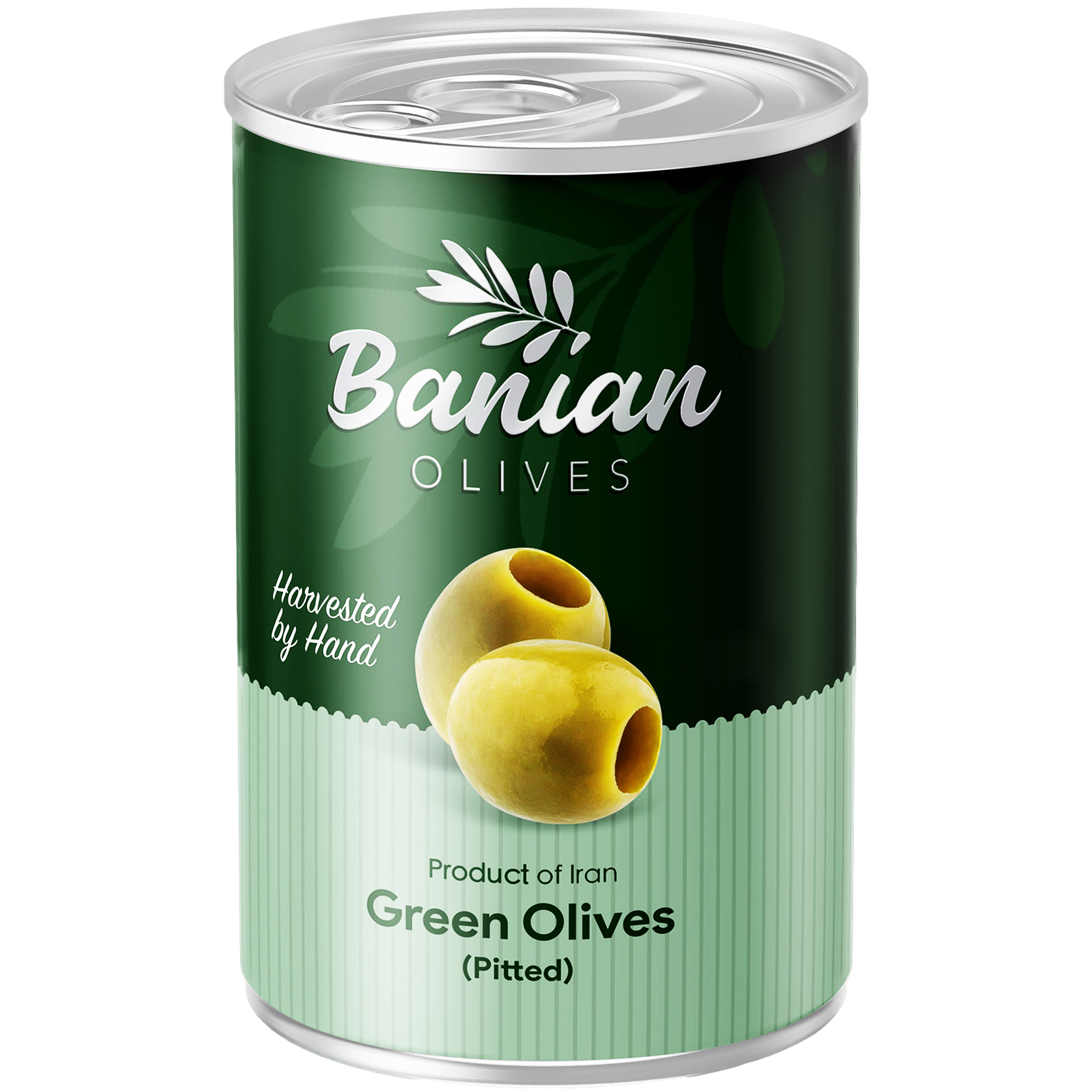 زیتون سبز بدون هسته بانیان - 480 گرم 