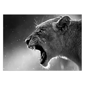 Wensoni The Lion Rave Chassis 30x40