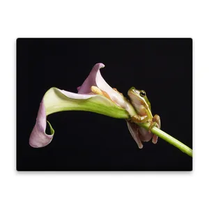 کاشی اطلس آبی طرح گل و قورباغه  مدل T5859