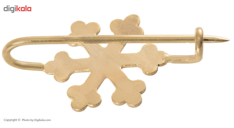 سنجاق سینه طلا 18 عیار رزا مدل PG31