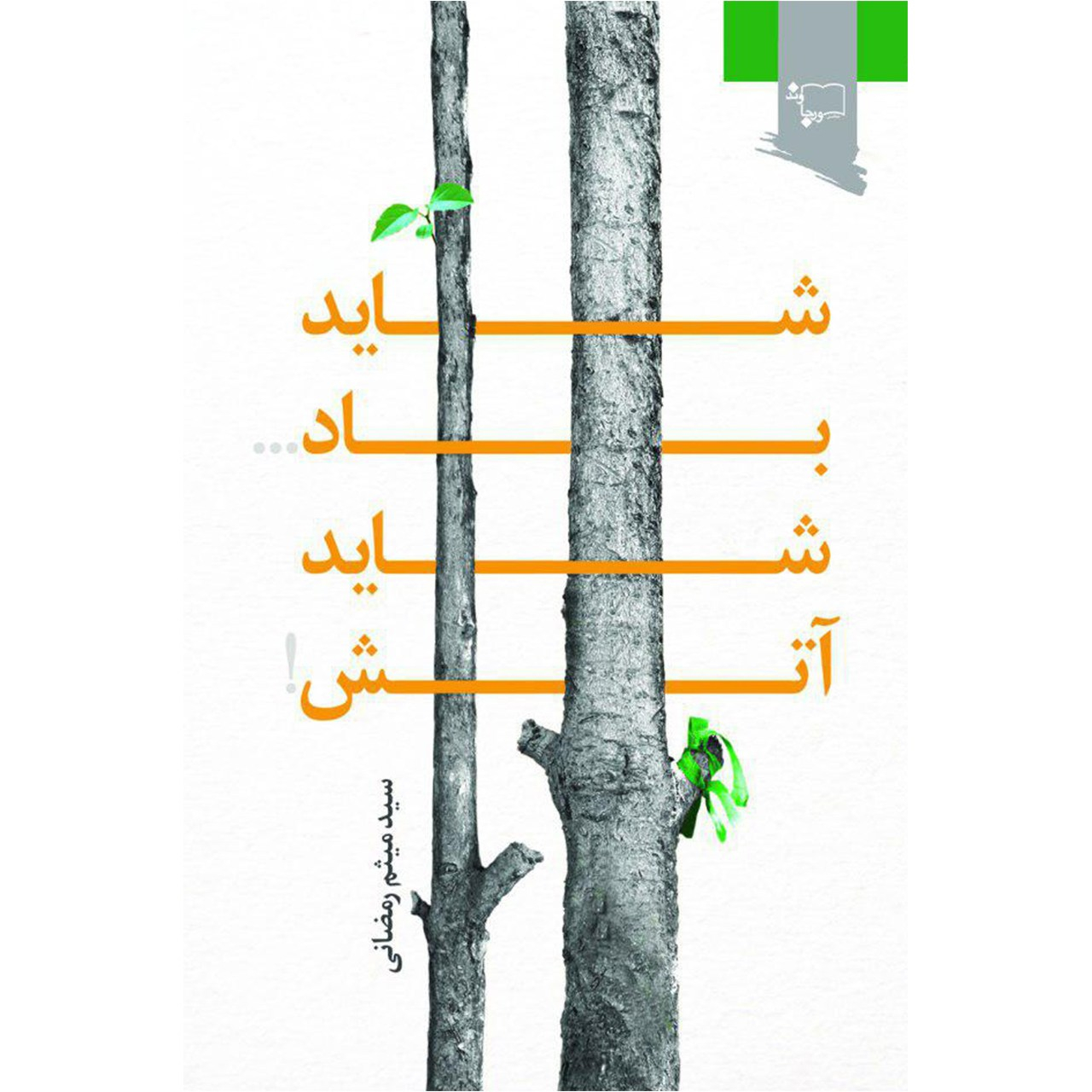 کتاب شاید باد شاید آتش اثر سید میثم رمضانی