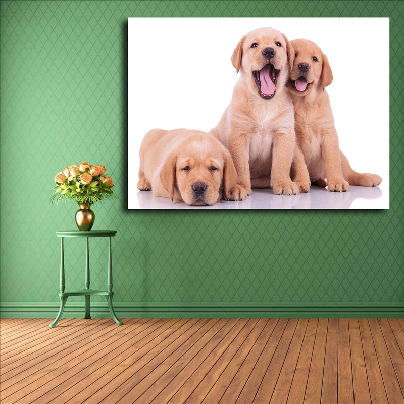 تابلو شاسی مدل سگ کد 24