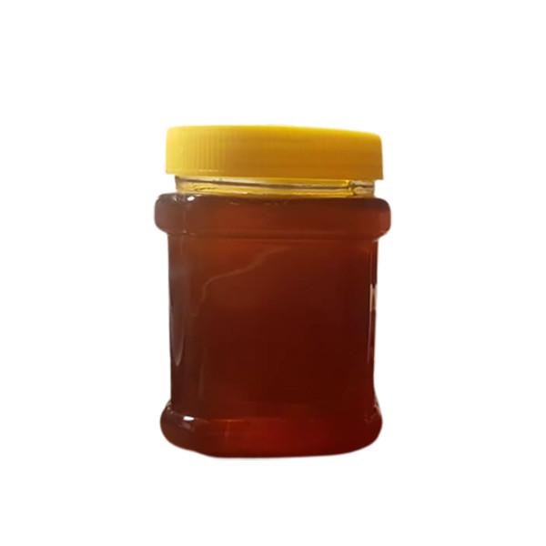 عسل گون محلی ممتاز بروجرد - 1000 گرم 
