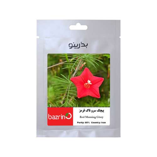 بذر گل پیچک سروتاک قرمز بذرینو کد BZNO-275