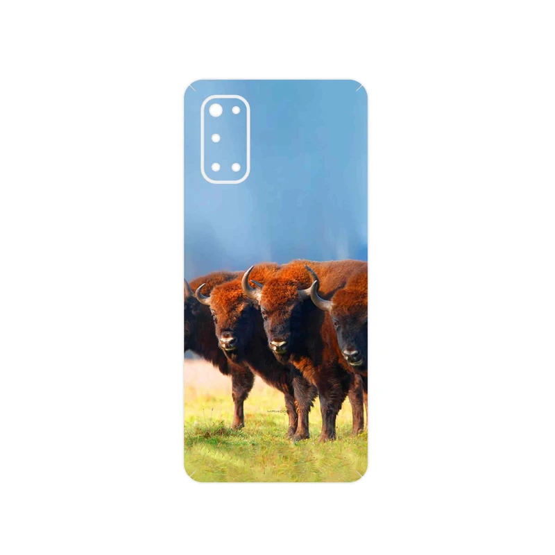 برچسب پوششی ماهوت مدل Buffalo مناسب برای گوشی موبایل ریلمی 7 Pro
